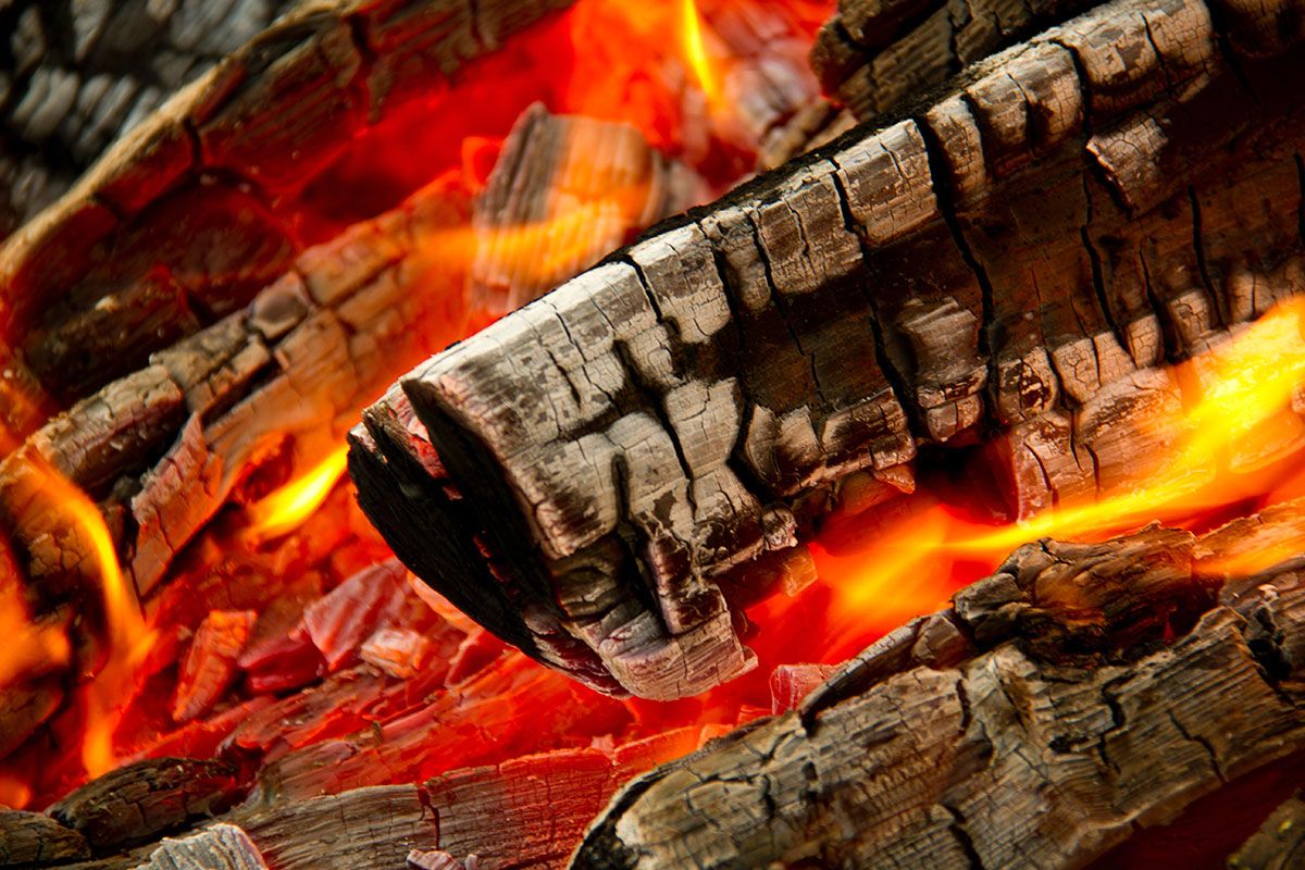 Infinity Home Services looks into the world of firewood and what you need to be looking for when buying firewood for your open fire or log-burner.