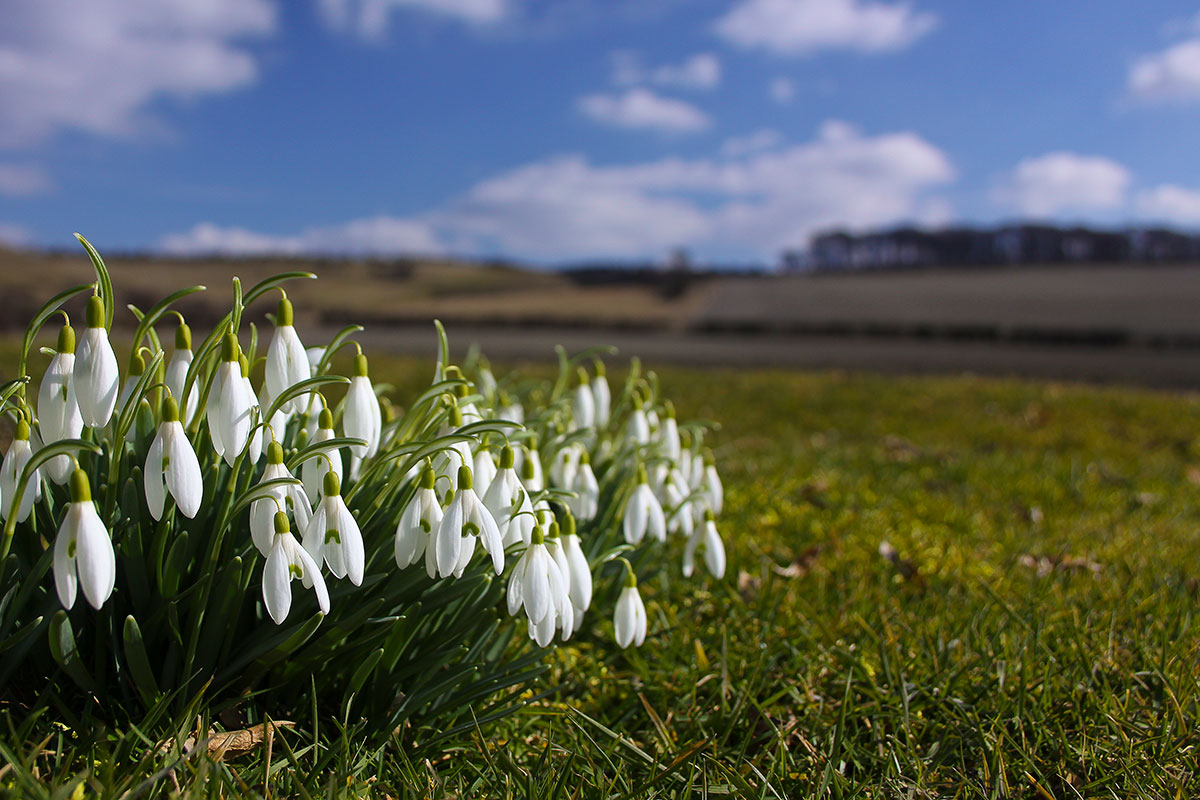 Infinity ProServ looks at the outdoor maintenance and projects you need to consider for your garden and outside space